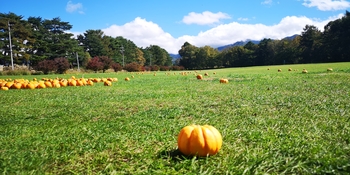 IMG_20251020_103617.jpg