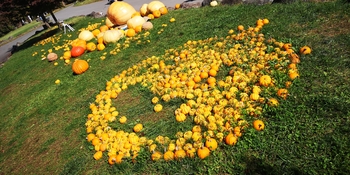 IMG_20251020_103749.jpg