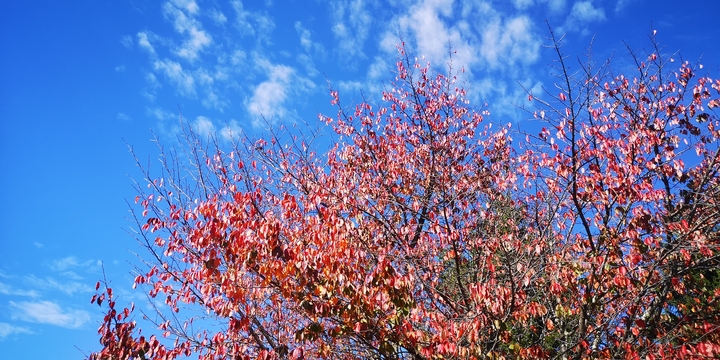 IMG_20251020_103805.jpg