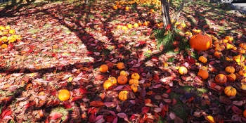 IMG_20251020_103830.jpg