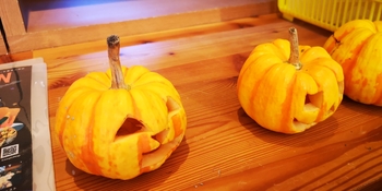 IMG_20251020_104136.jpg