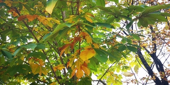 IMG_20251021_125949.jpg