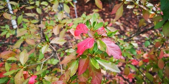 IMG_20251021_130025.jpg