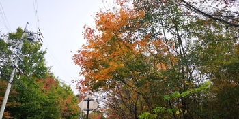 IMG_20251021_130032.jpg
