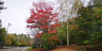 IMG_20251021_130113.jpg