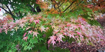 IMG_20251021_130144.jpg