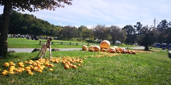 IMG_20251008_115923.jpg