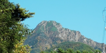 IMG_20251009_160042.jpg
