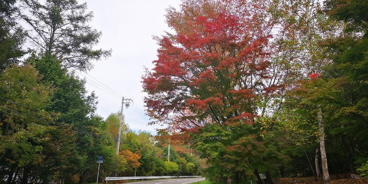 IMG_20251012_130302.jpg