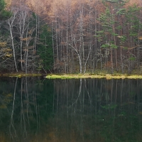 御射鹿池（みしゃかいけ）の紅葉