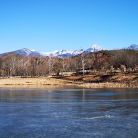 今日の四季の森
