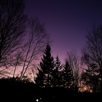 師走に入りました