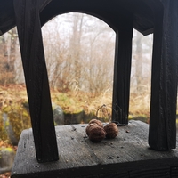 雨のクリスマス