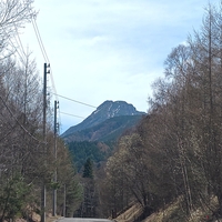 四季の森エリア内のようす