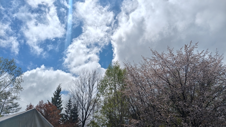 260501131532097.JPG
