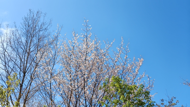 260504093135311.JPG