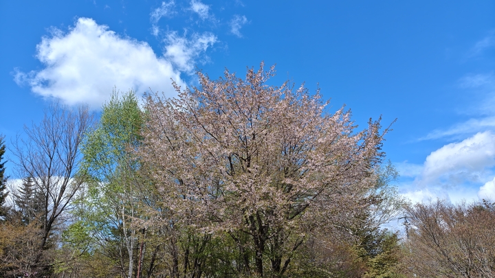 260504101842848.JPG