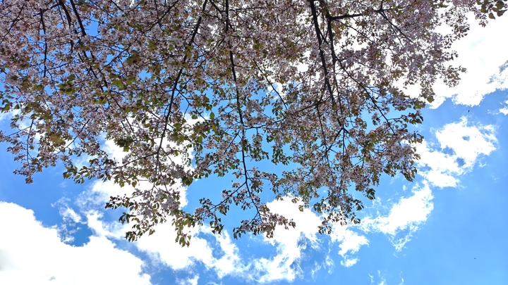 260504112522094.JPG