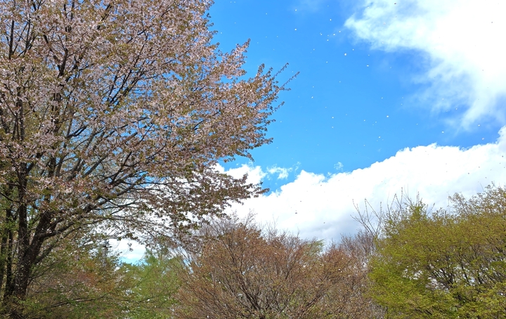 260504114645573.JPG
