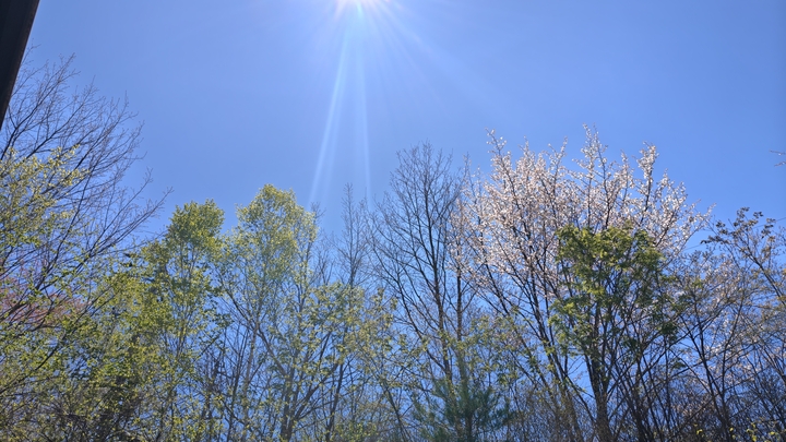 260505104539885.JPG