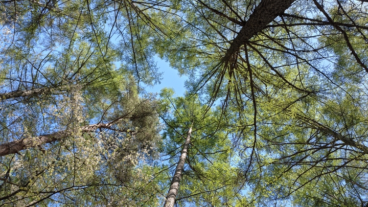 260505135249668.JPG