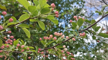 260507130339129.JPG