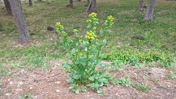 260508110143440.JPG
