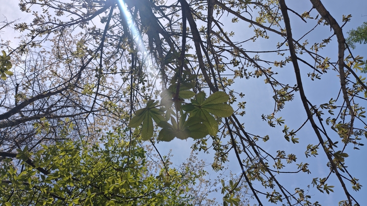 260512125747566.JPG