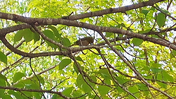 260516125527205.JPG
