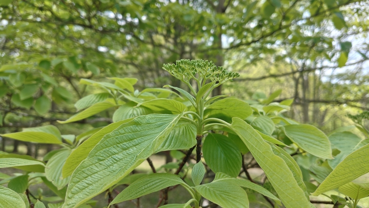 260516130249189.JPG
