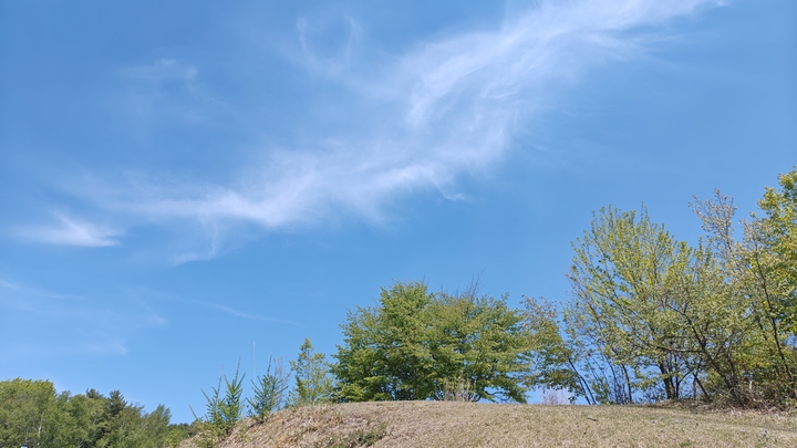 260517124922017.JPG
