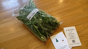 260517130545243.JPG