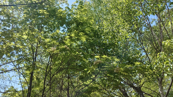 260519131252275.JPG