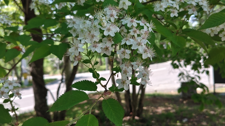 260520125842844.JPG