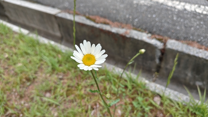 260522134554397.JPG