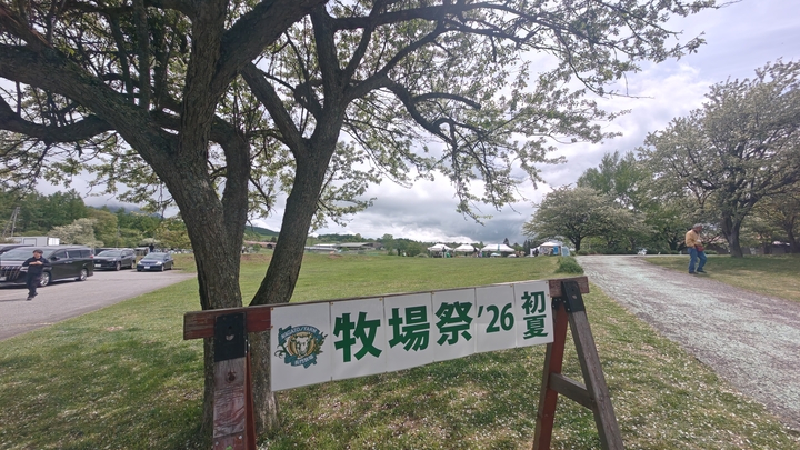 260524134420226.JPG