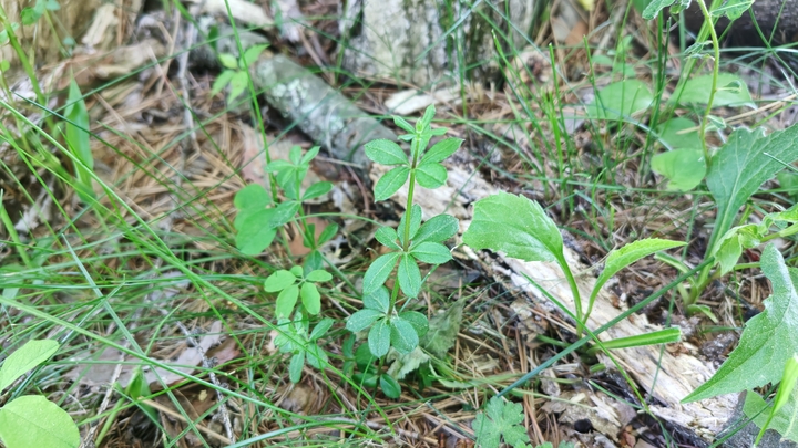 260530131112740.JPG