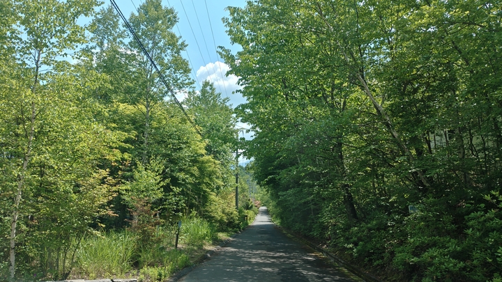 260612100052865.JPG