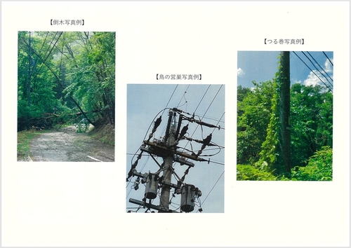 cyudentsuuhou001.jpg