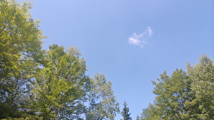260710100255889.JPG