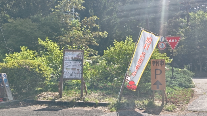 260715083830019.JPG