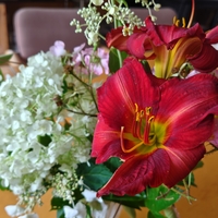 季節のお花と雀ヶ森山珈琲コーヒーゼリー