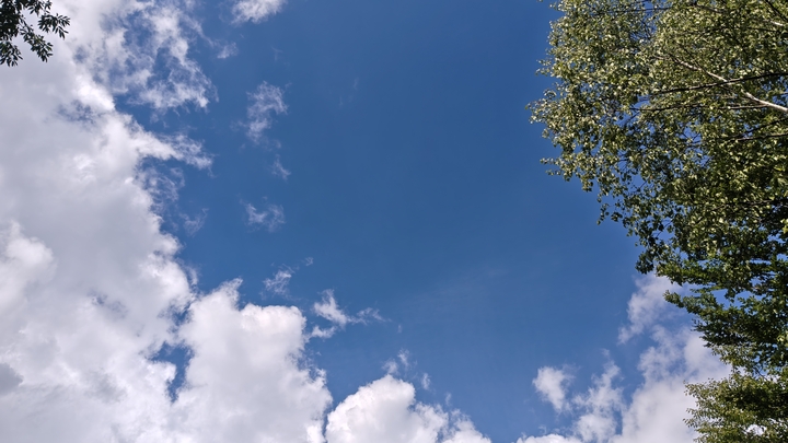 260719152836858.JPG