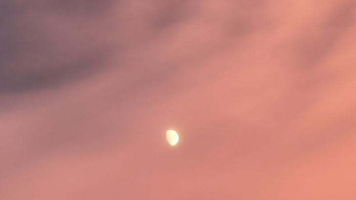 260724190916680.JPG