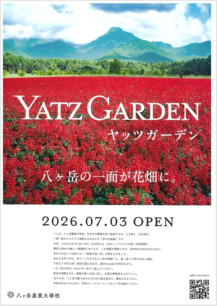 yattu2026001.jpg