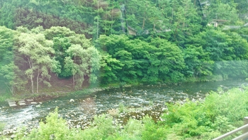 260818093451345.JPG