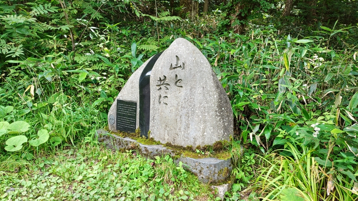 260818120308202.JPG