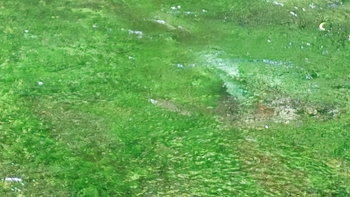 260818121659783.JPG