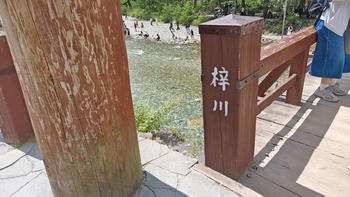 260818123832194.JPG