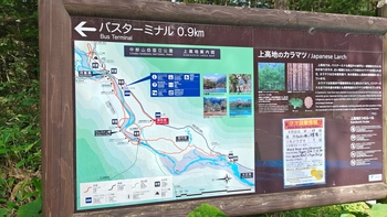 260818141539508.JPG